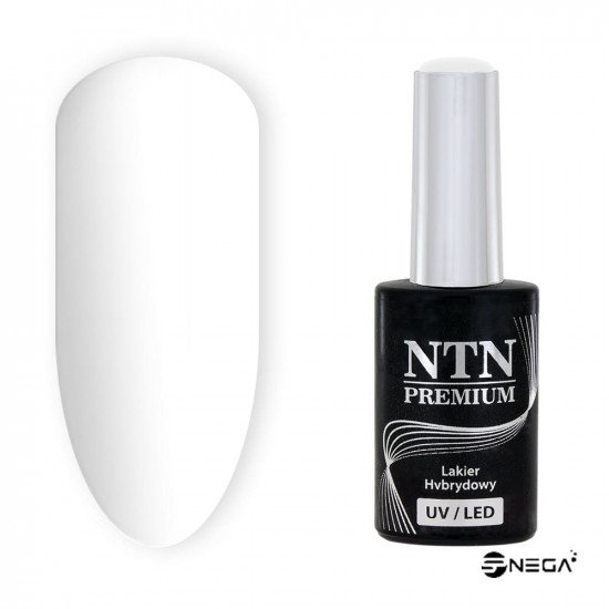 NTN PREMIUM gel polish for nails 123 Highly pigmented gel polishes