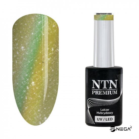 NTN PREMIUM magnetic gel nail polish 219 Magnetic colour gel nail polish CAT EYE